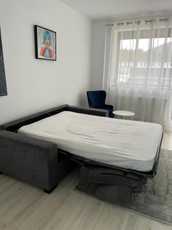 Apartment Lucky Number Sinaia